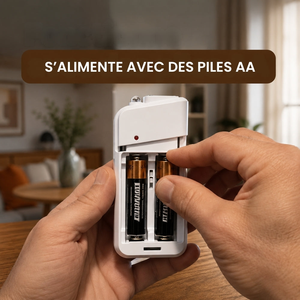 Chargeur portable
